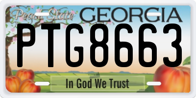 GA license plate PTG8663