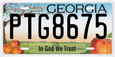 GA license plate PTG8675