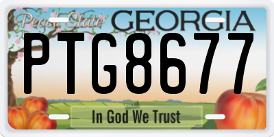 GA license plate PTG8677