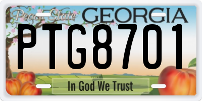GA license plate PTG8701