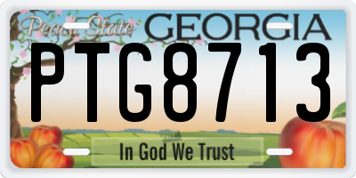 GA license plate PTG8713