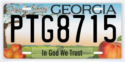 GA license plate PTG8715