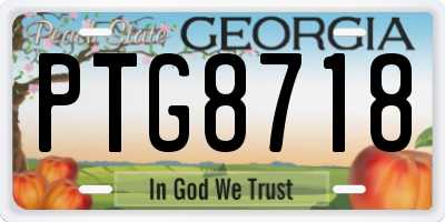 GA license plate PTG8718
