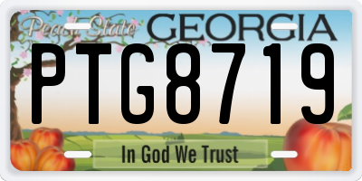 GA license plate PTG8719