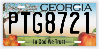 GA license plate PTG8721