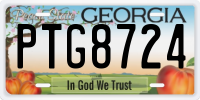 GA license plate PTG8724
