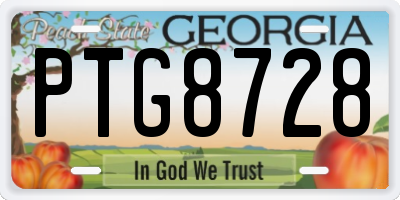 GA license plate PTG8728