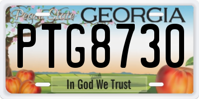 GA license plate PTG8730