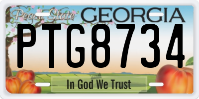 GA license plate PTG8734