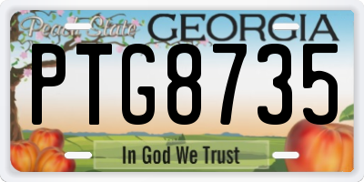 GA license plate PTG8735