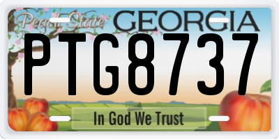 GA license plate PTG8737