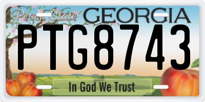 GA license plate PTG8743