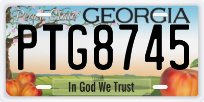 GA license plate PTG8745