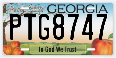 GA license plate PTG8747