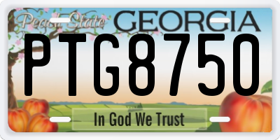 GA license plate PTG8750