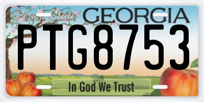 GA license plate PTG8753