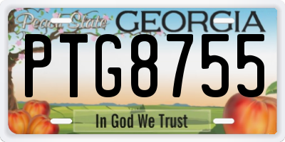 GA license plate PTG8755