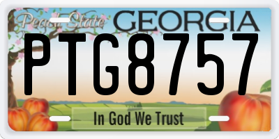 GA license plate PTG8757