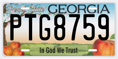 GA license plate PTG8759