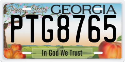GA license plate PTG8765
