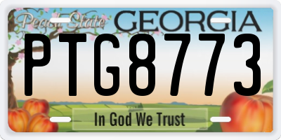 GA license plate PTG8773