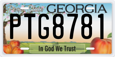 GA license plate PTG8781