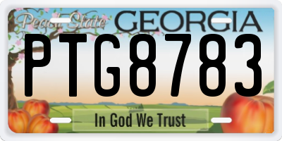 GA license plate PTG8783