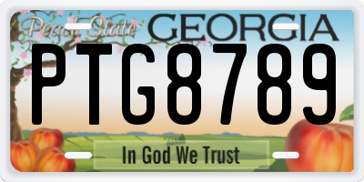 GA license plate PTG8789