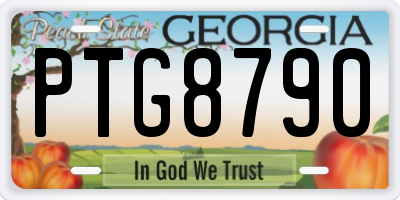 GA license plate PTG8790