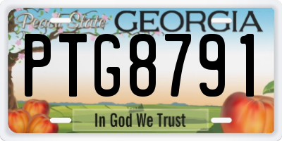 GA license plate PTG8791