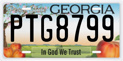 GA license plate PTG8799
