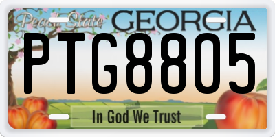 GA license plate PTG8805