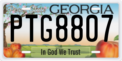 GA license plate PTG8807