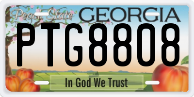 GA license plate PTG8808