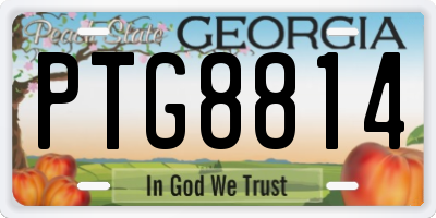 GA license plate PTG8814