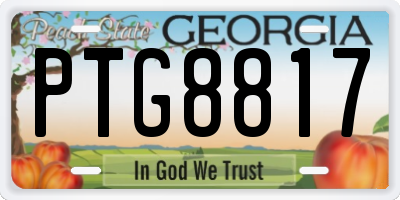 GA license plate PTG8817