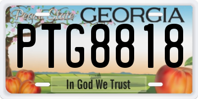 GA license plate PTG8818