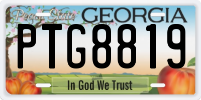 GA license plate PTG8819