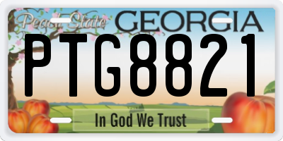 GA license plate PTG8821