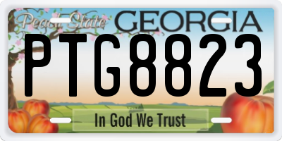 GA license plate PTG8823