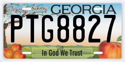 GA license plate PTG8827