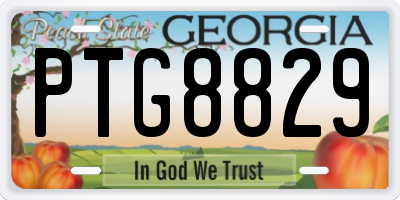 GA license plate PTG8829