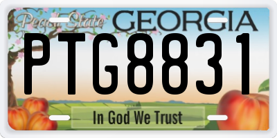 GA license plate PTG8831