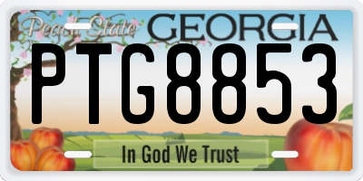 GA license plate PTG8853