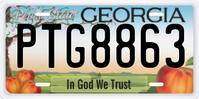 GA license plate PTG8863