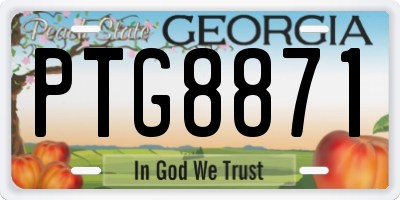 GA license plate PTG8871