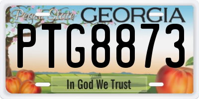 GA license plate PTG8873