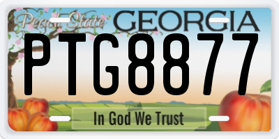 GA license plate PTG8877