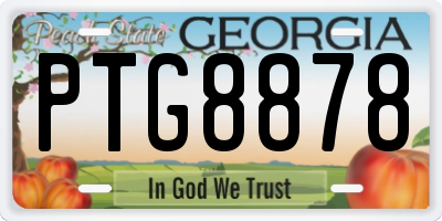 GA license plate PTG8878