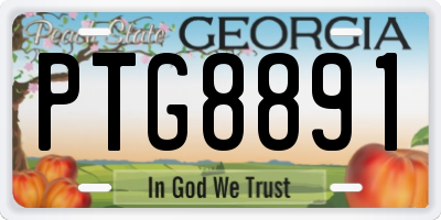 GA license plate PTG8891